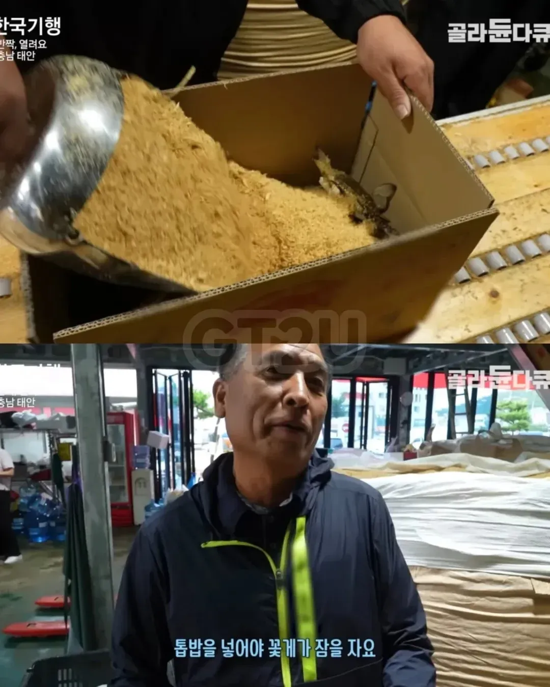 톱밥을 넣어야 꽃게가 잠을 자요 라는 텍스트가 적힌 이미지