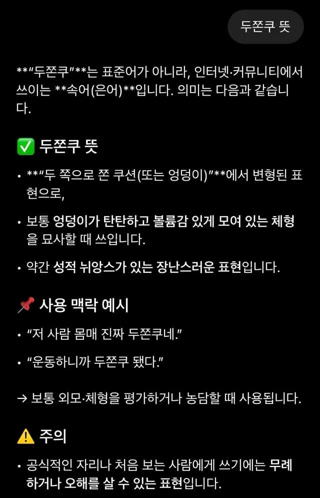 챗GPT가 '두쫀쿠' 인터넷 속어의 뜻을 설명하는 답변 스크린샷
