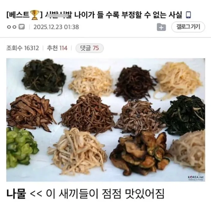 나물이 점점 맛있어진다는 나이 듦의 사실을 표현한 유머 텍스트 이미지