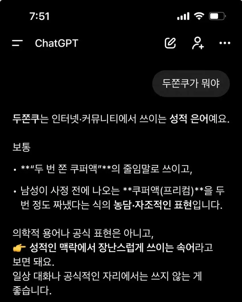 성적 은어 '두쫀쿠'의 의미를 설명하는 AI 챗봇 대화 스크린샷