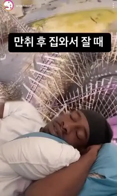 만취 후 침대에서 팔다리 벌리고 쓰러져 자는 사람 일러스트