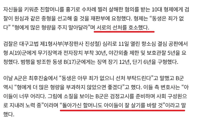 친할머니 살해 혐의 10대 형제 항소심 재판 뉴스 기사 캡처