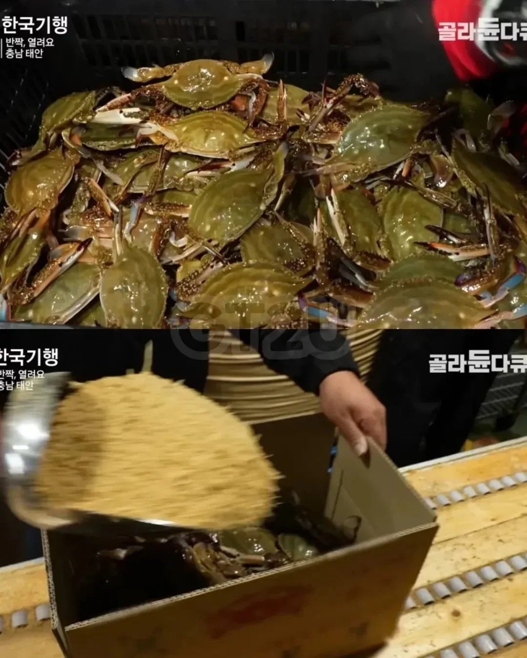 한국기행 다큐멘터리 방송 화면, 여러 인물의 인터뷰 장면이 동일한 자막과 함께 나열됨