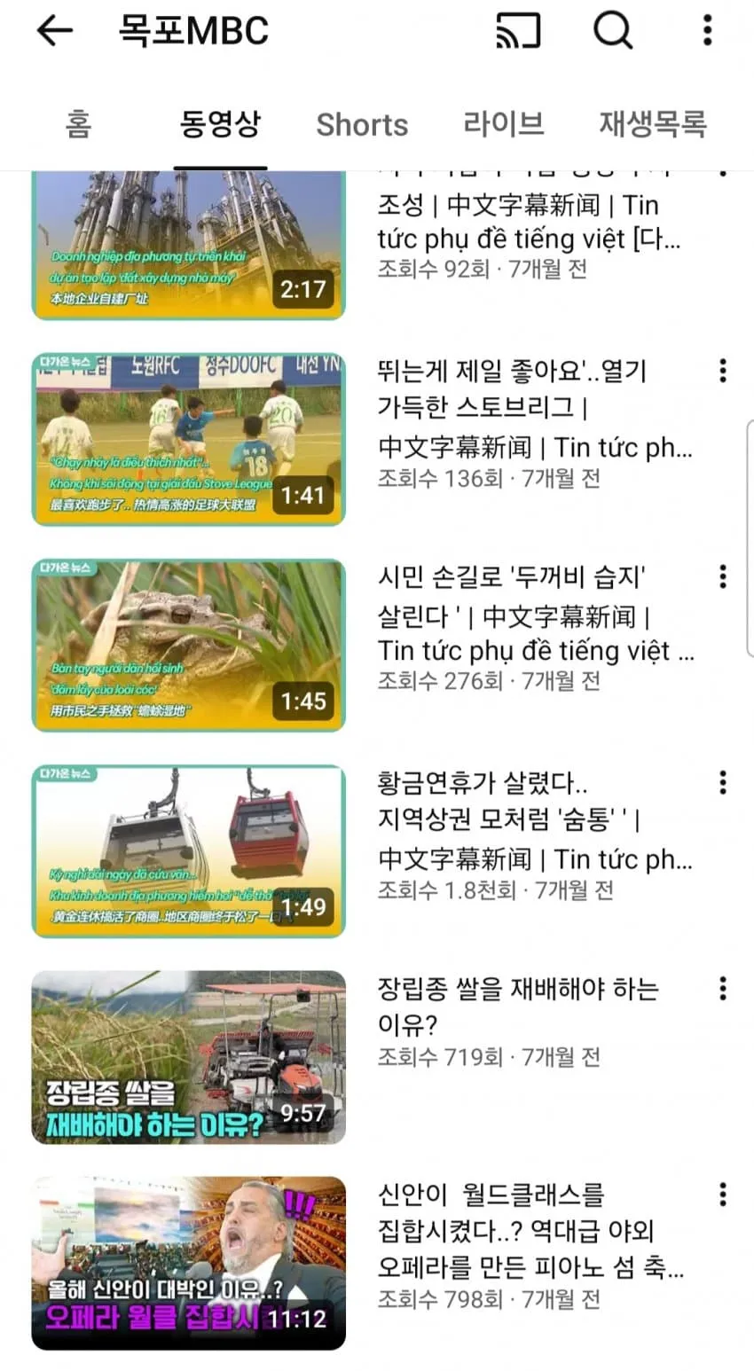 지역 활성화 관련 뉴스 썸네일 모음: 스토브리그, 두꺼비 습지, 황금연휴 상권, 신안 오페라 축제 소식