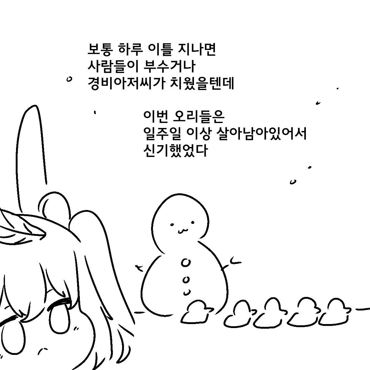 종이접기 오리들이 일주일 넘게 살아남았다는 내용의 만화 컷