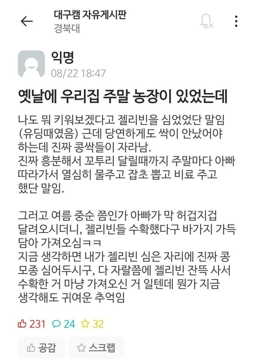 어린 시절 젤리빈을 심었는데 아빠가 몰래 콩을 심어 젤리빈 수확을 연출해준 훈훈한 추억 글