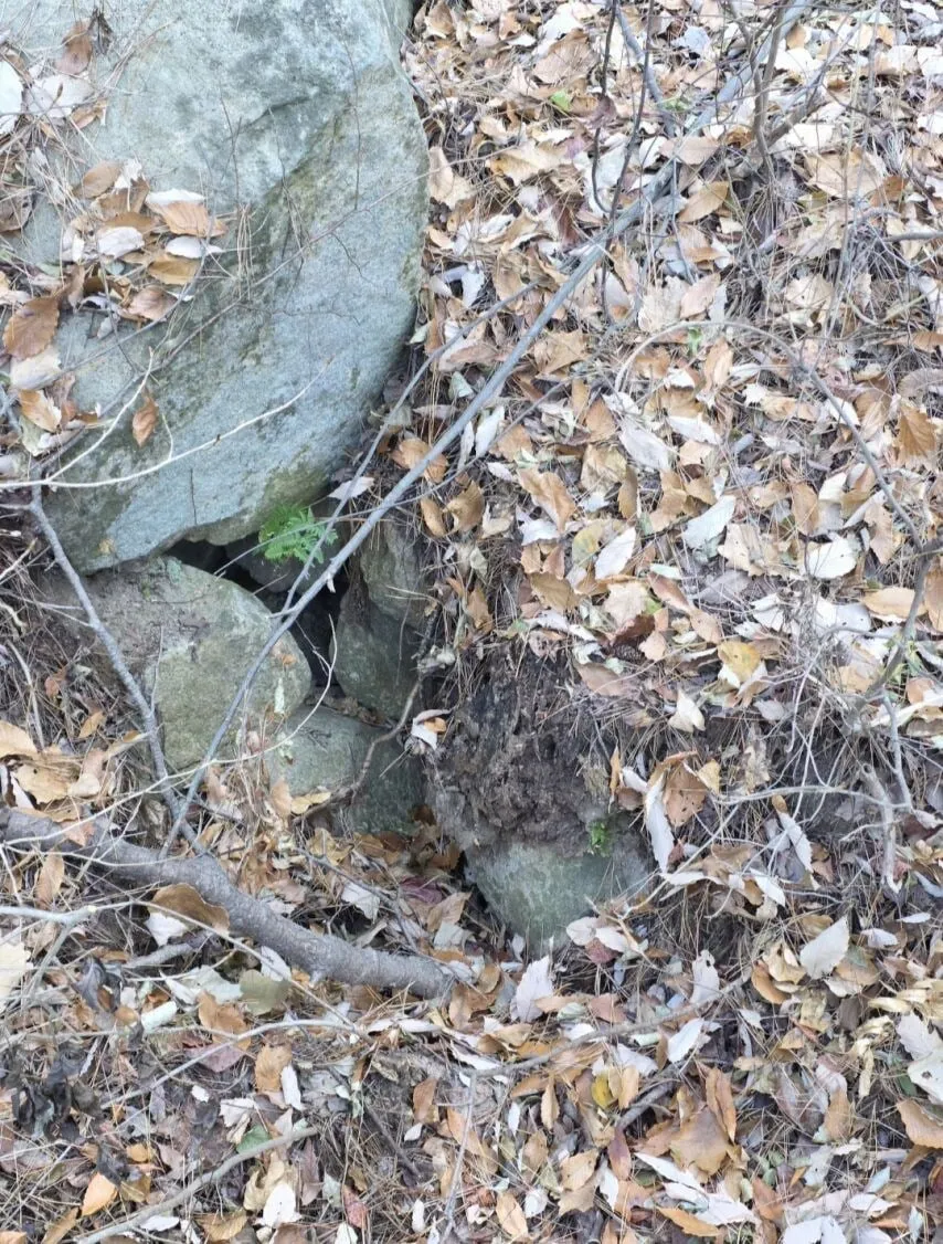 등산 중 복통으로 고통받는 표정의 만화 캐릭터