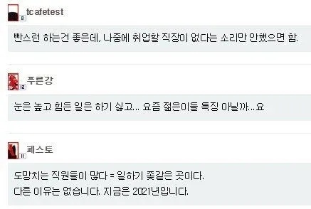 신입 퇴사에 대한 세대 간 시각 차이를 보여주는 온라인 댓글 캡처