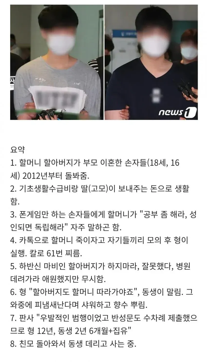 할머니를 살해한 손자들 사건 요약: 범행 동기, 경위, 판결 내용을 정리한 텍스트