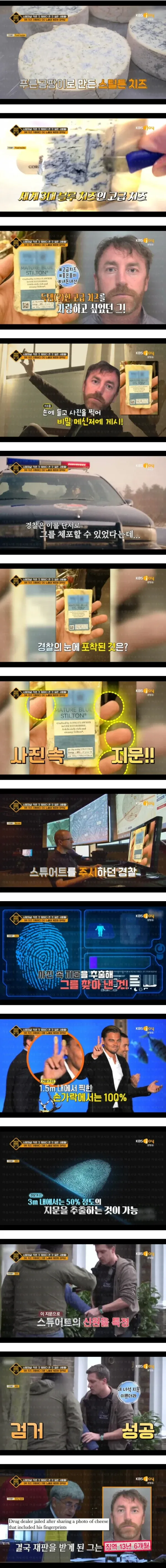 스틸턴 치즈 사진 속 지문으로 마약상 검거 과정을 설명하는 인포그래픽