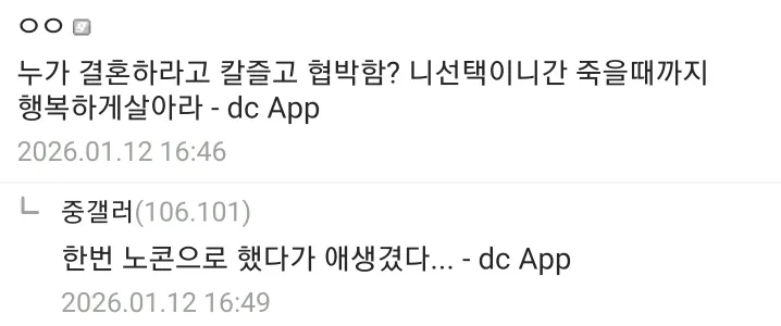 디시인사이드 갤러리 댓글 캡처, 결혼과 임신에 대한 익명 게시글