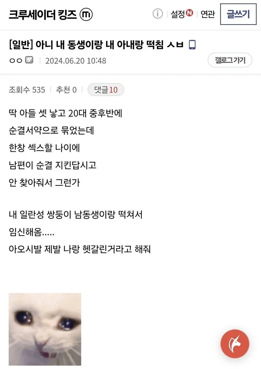 쌍둥이 동생과 아내의 불륜 및 임신 고백 텍스트 게시물
