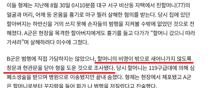 대구 친할머니 살해 형제 사건 관련 뉴스 기사 본문 캡처