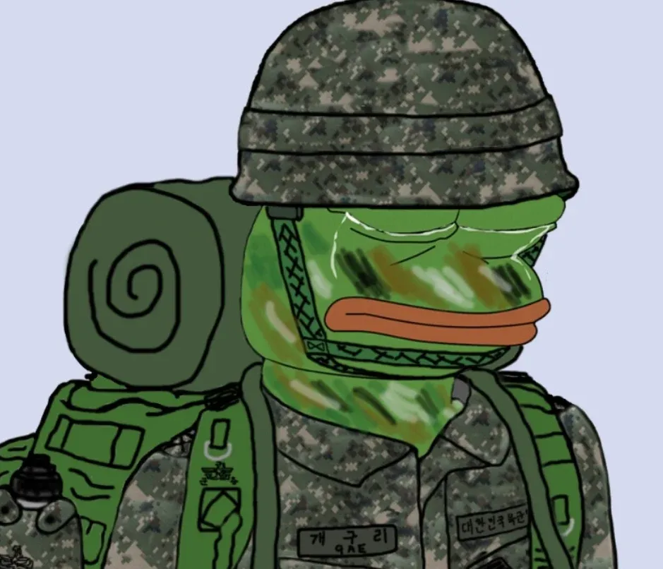 군복 차림의 개구리 캐릭터와 "대한민국육군" 텍스트가 있는 밈 이미지