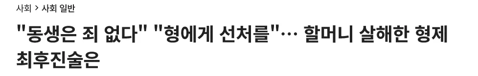 할머니 살해 형제 재판 뉴스 헤드라인, 최후진술 내용 보도