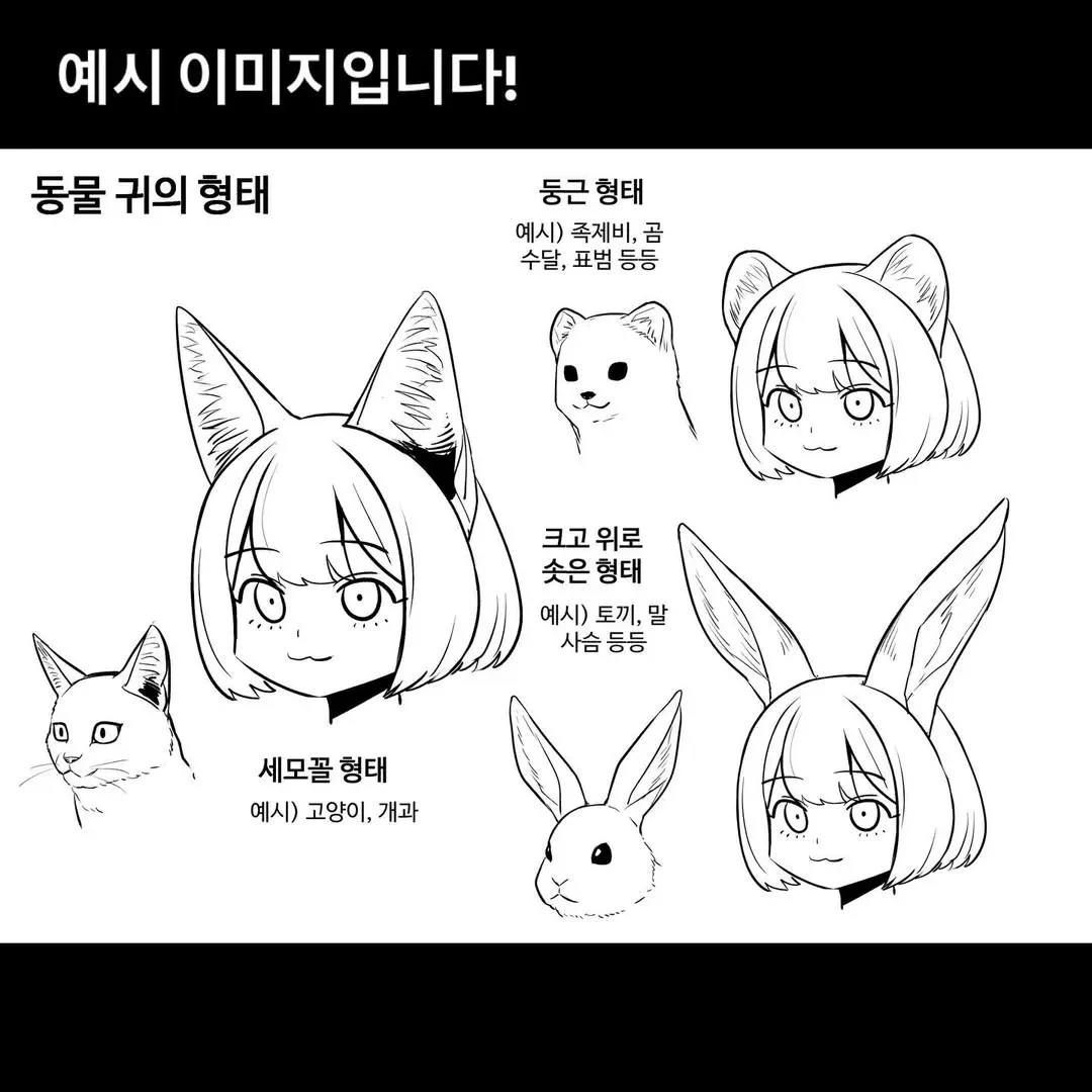 동물 귀 형태 분류: 둥근 형태(족제비, 곰), 크고 솟은 형태(토끼, 말), 세모꼴(고양이, 개과)