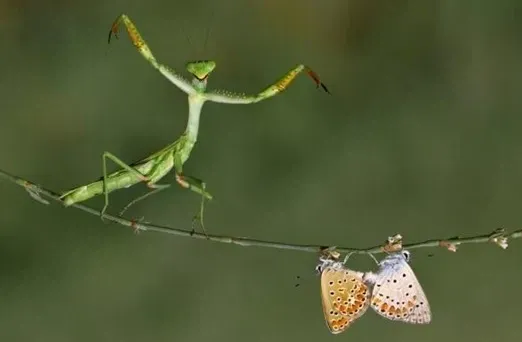 지하철에서 어깨에 기대어 잠든 커플