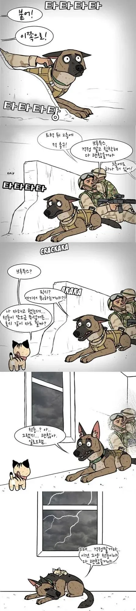 총소리를 천둥으로 착각한 아기고양이가 무서워서 군견 브루투스에게 같이 자자고 찾아오는 만화