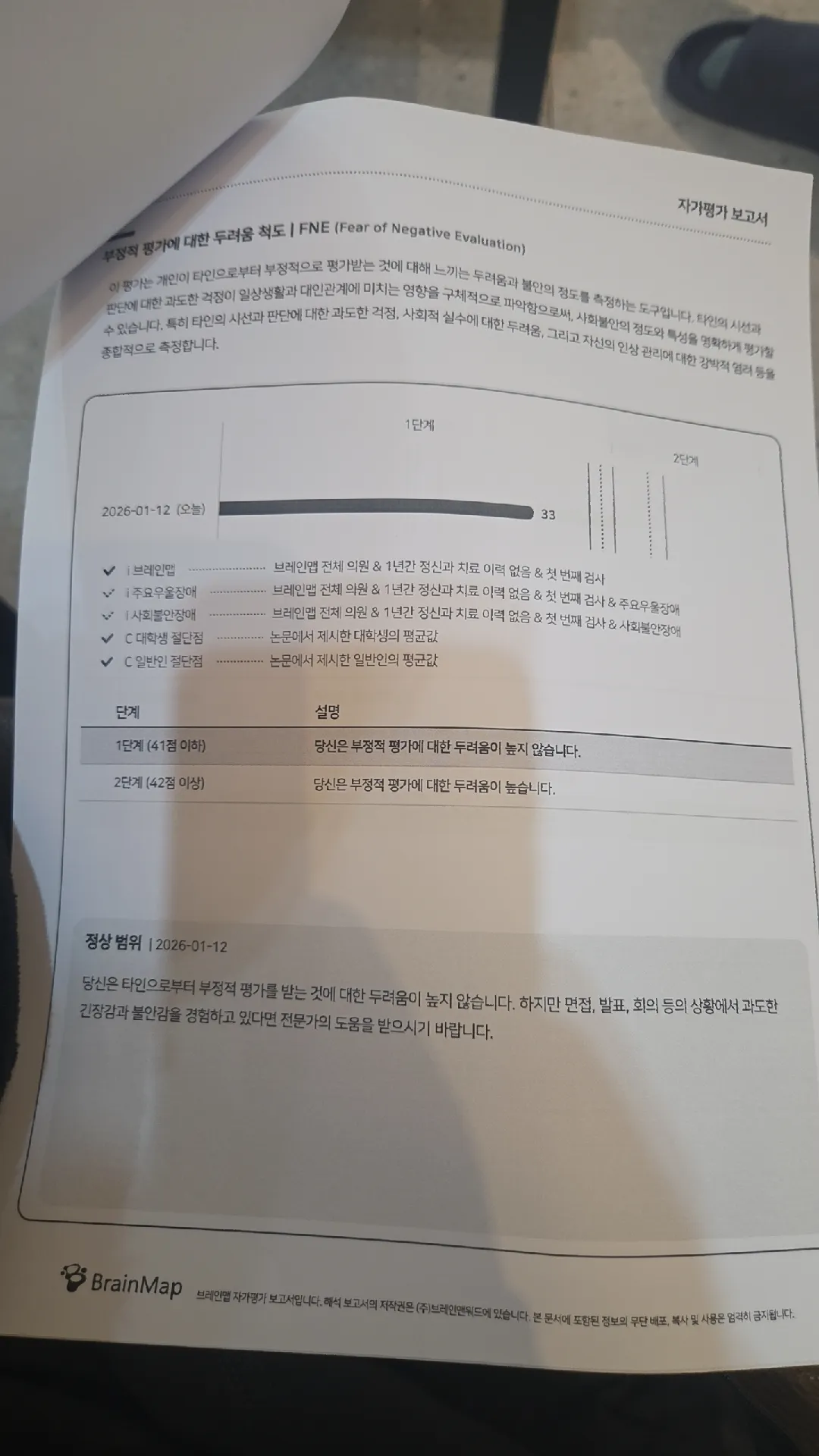 FNE 부정적 평가 두려움 척도 자가평가 보고서, 점수 33점 표시