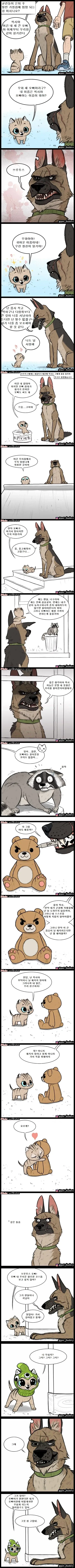 군인이 손바닥만한 아기고양이를 발견해 당황하며 돌보는 방법을 고민하는 만화
