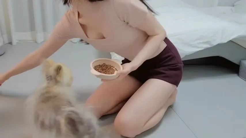 40대 미혼 여성 브이로그 썸네일, 'AR > ad' 텍스트가 표시된 화면