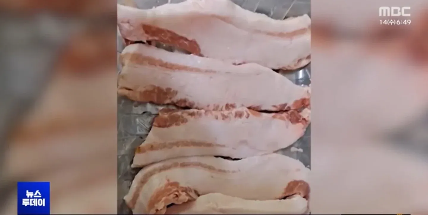 삼겹살 부위별 지방 함량 등급표 (A~E등급, 지방 비율 시각화)