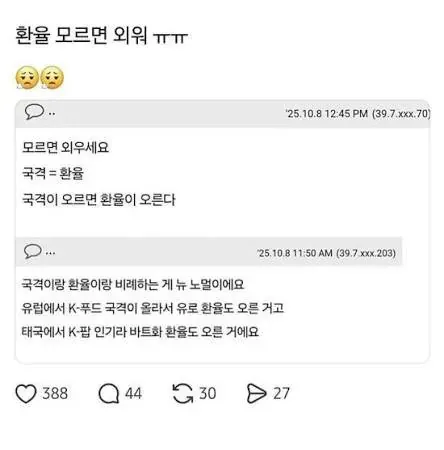 환율과 국격이 비례한다는 잘못된 경제 논리를 풍자하는 밈 이미지