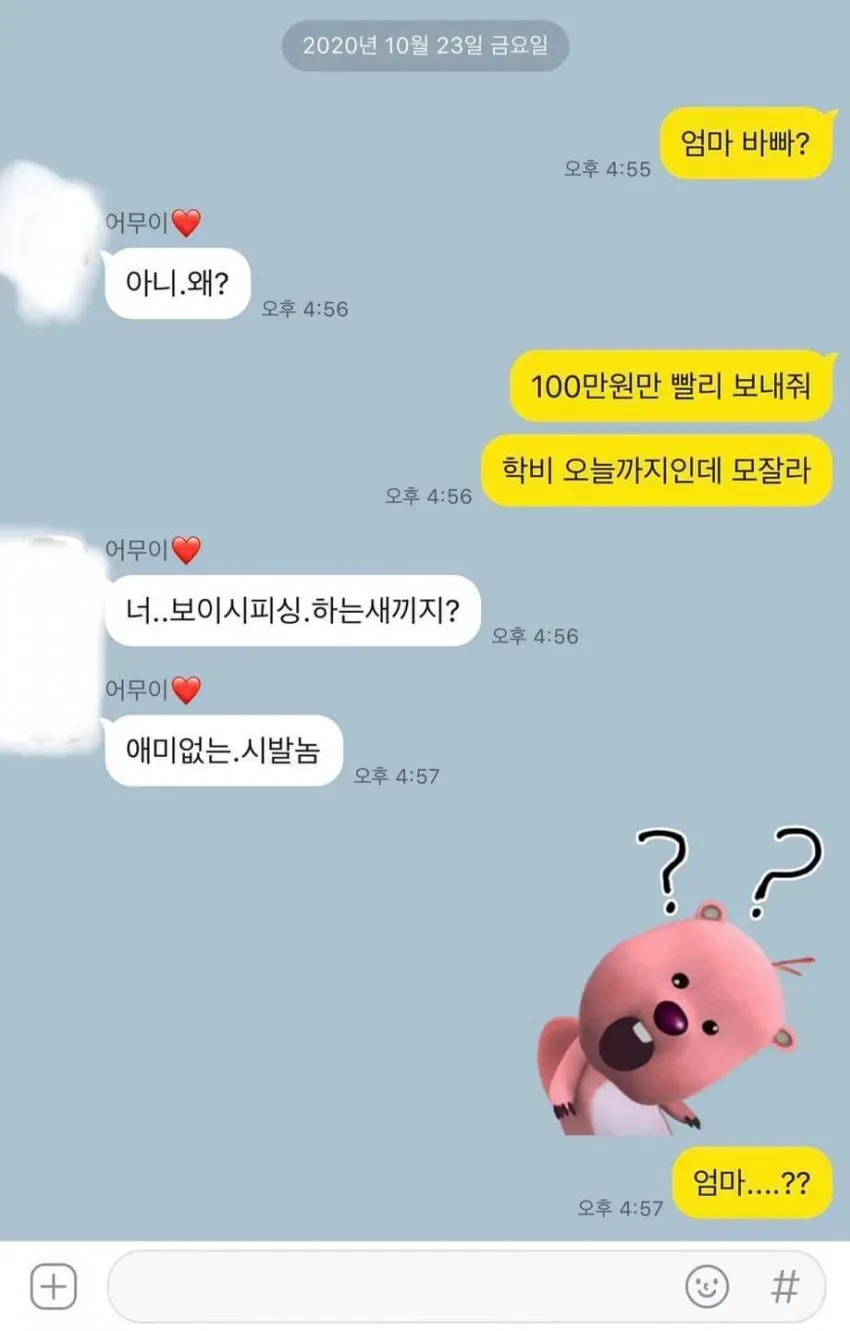 엄마에게 학비 100만원 요청했다가 보이스피싱으로 오해받아 욕먹는 카톡 대화