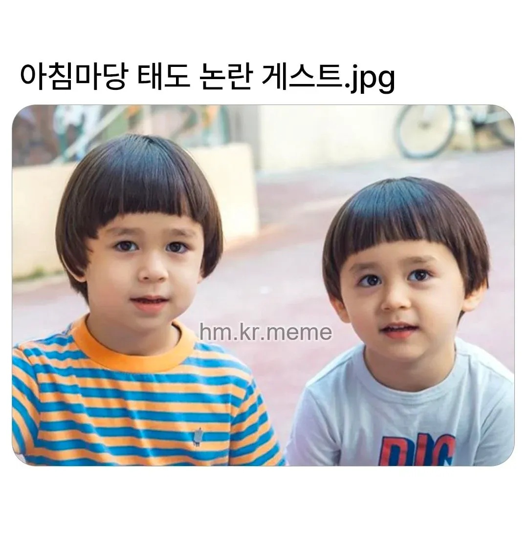 TV 프로그램 '아침마단' 출연 게스트 태도 논란 관련 이미지