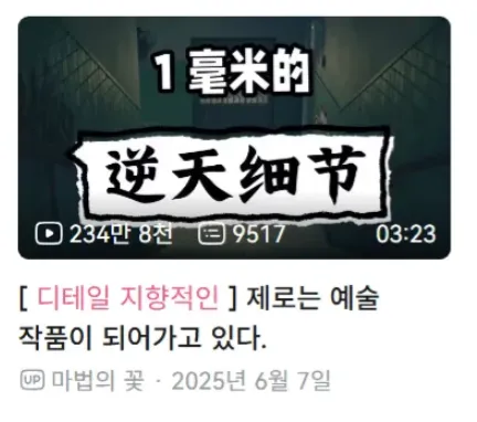 중국 밈 "1밀리미터의 디테일"과 한국어 설명이 적힌 텍스트 이미지