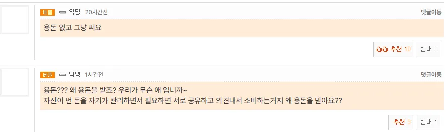 용돈 없이 각자 번 돈을 관리하며 필요시 공유한다는 댓글 캡처