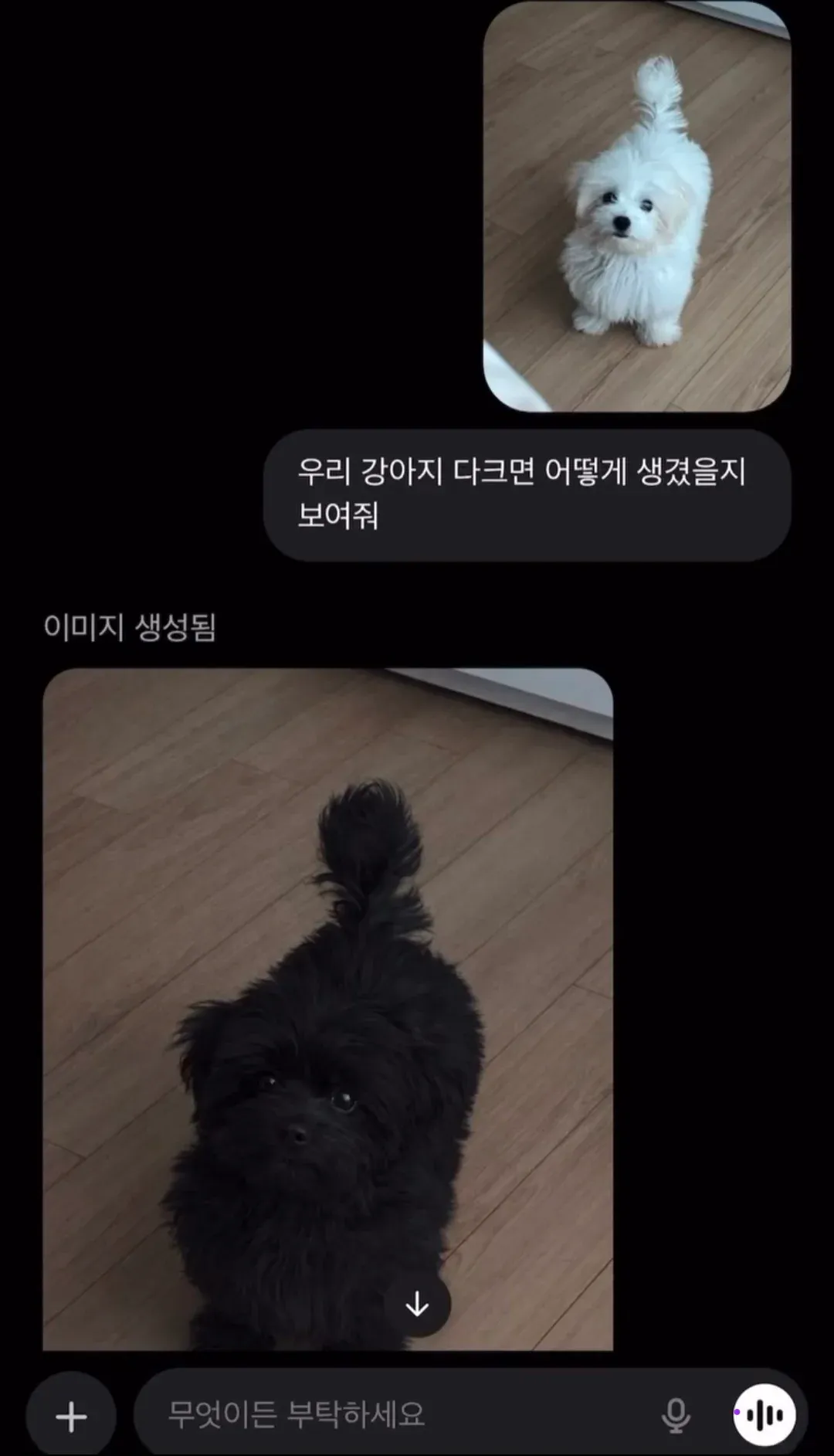 어두운 털색의 강아지 상상 이미지