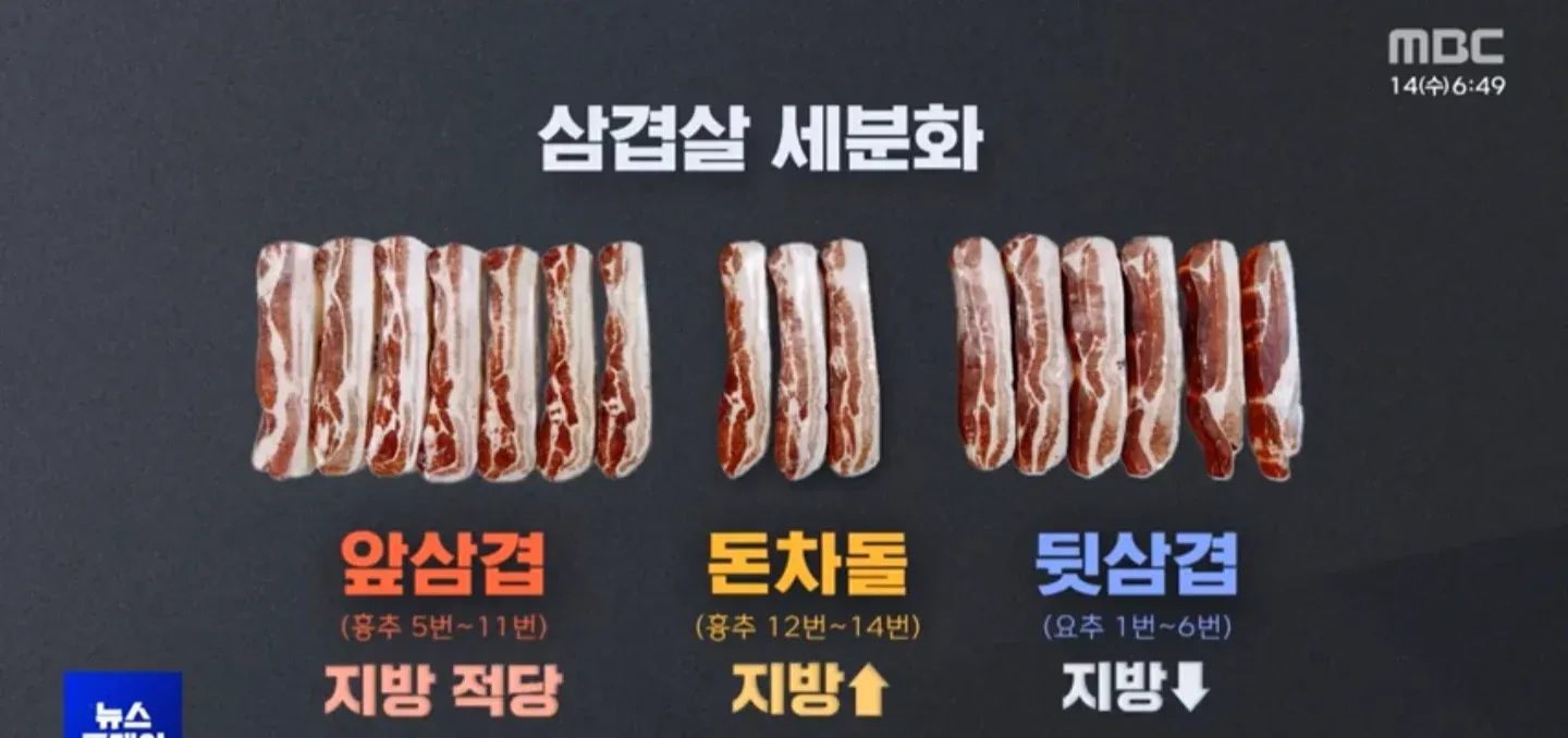 삼겹살 부위별 세분화 도표: 앞삼겹, 돈차돌, 뒷삼겹의 위치와 지방 함량 비교
