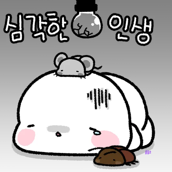 "심각한 인생"이라는 텍스트가 적힌 이미지