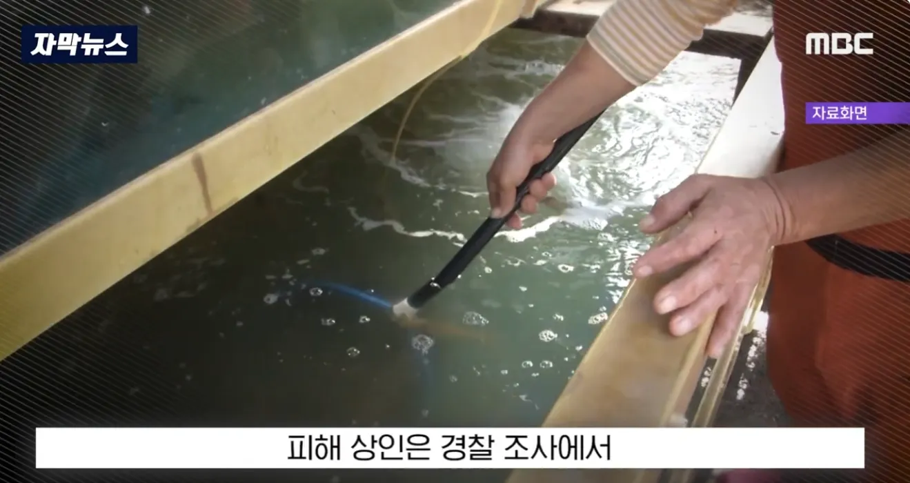 소래포구 칼부림 사건 피해 상인 경찰 조사 장면 뉴스 자막