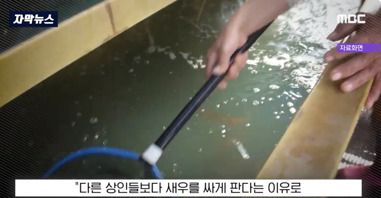 소래포구 새우 싸게 판다는 이유로 칼부림 사건 뉴스 자막 화면