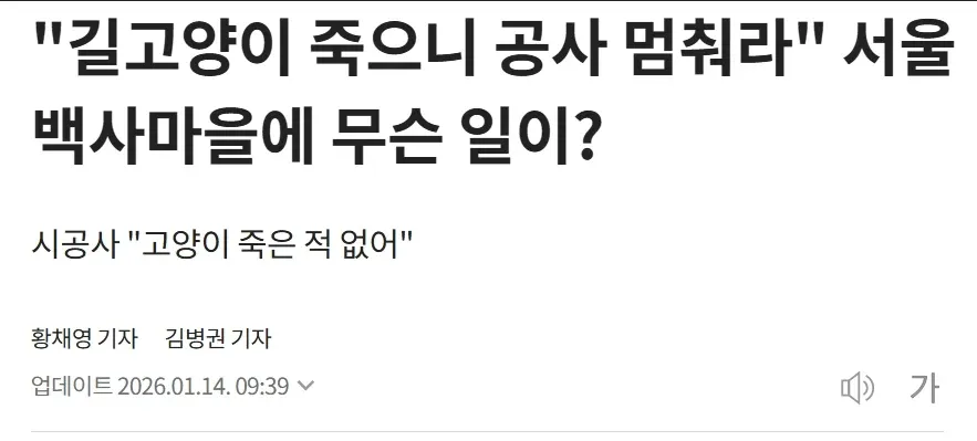 서울 백사마을 길고양이 관련 공사 중단 논란 뉴스 기사 캡처