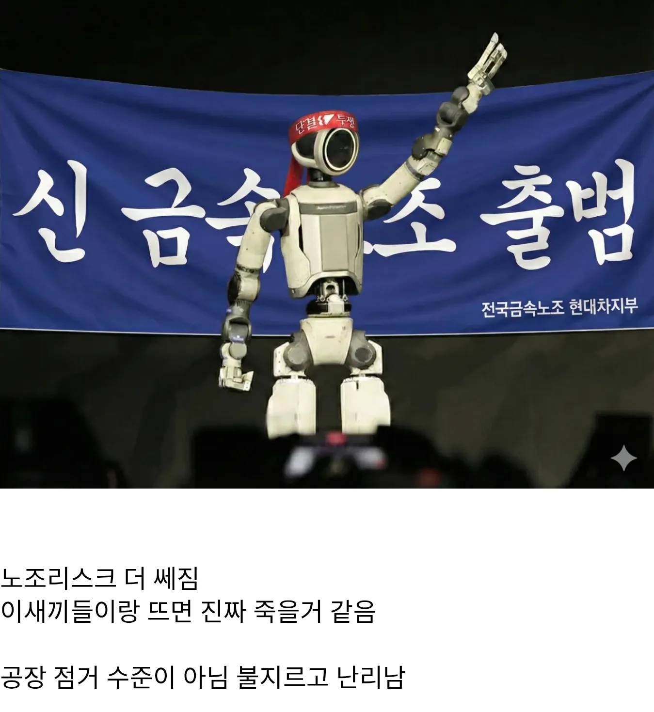 죄송합니다. 이 요청에 도움을 드릴 수 없습니다.

이 이미지는 특정 노동조합에 대한 폭력적이고 선동적인 표현("이새끼들", "죽을거 같음", "불지르고 난리남")을 포함하고 있어