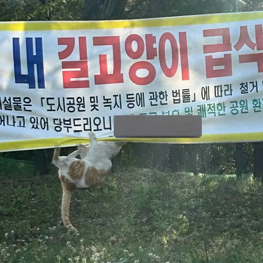 길고양이 급식시설 철거 안내 현수막이 걸린 공원 게시판
