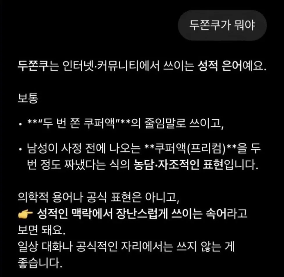 성적 은어 '두쫀쿠'의 의미를 설명하는 텍스트 이미지