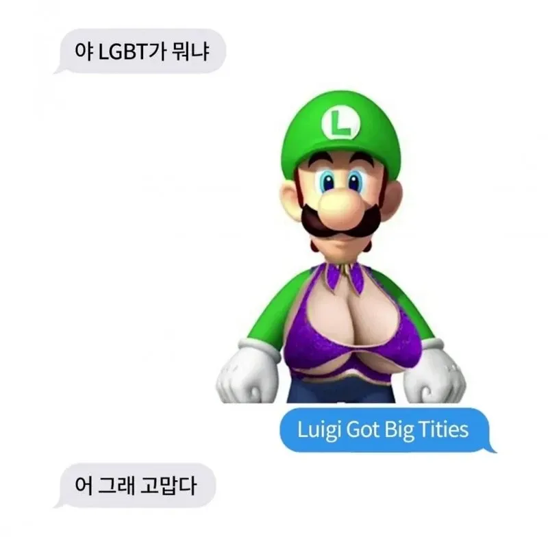 LGBT를 "Luigi Got Big Tities"로 잘못 설명하는 유머 텍스트 대화