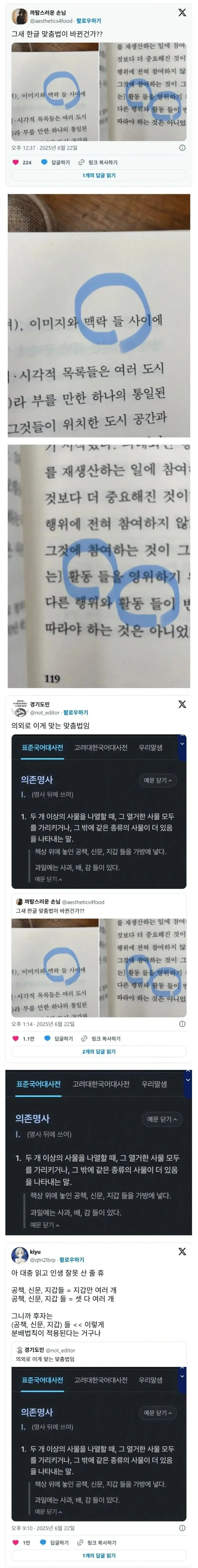 의존명사 '들'의 용법을 설명하는 국어사전 캡처와 댓글 토론