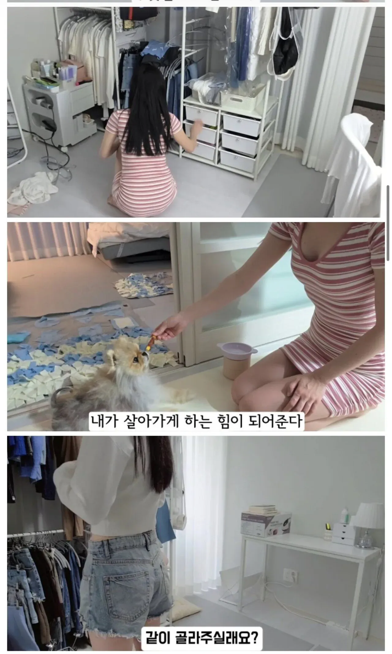 40대 미혼 여성이 브이로그에서 시청자에게 함께 골라달라고 요청하는 자막 화면