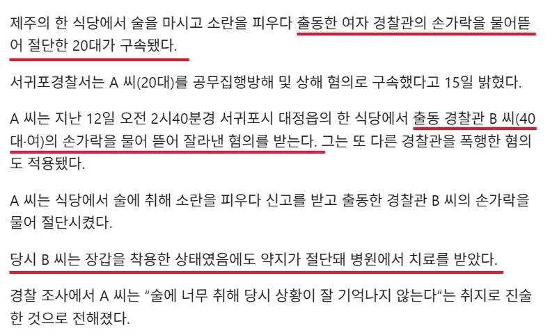 제주 식당에서 만취 상태로 출동한 여경 손가락을 물어 절단한 20대 구속 소식 뉴스 기사
