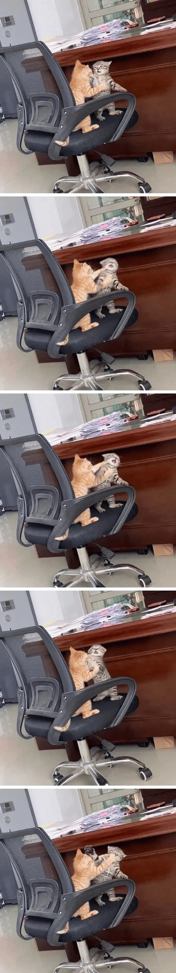 사무실에서 두 남성이 멱살잡이하며 싸우는 장면