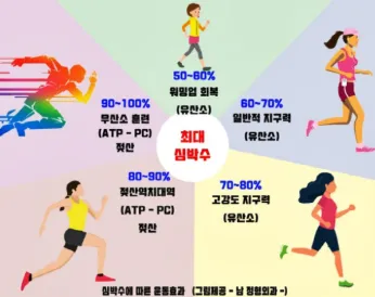 심박수 구간별 운동효과를 보여주는 인포그래픽, 50~100% 강도별 유산소·무산소 훈련 영역 구분