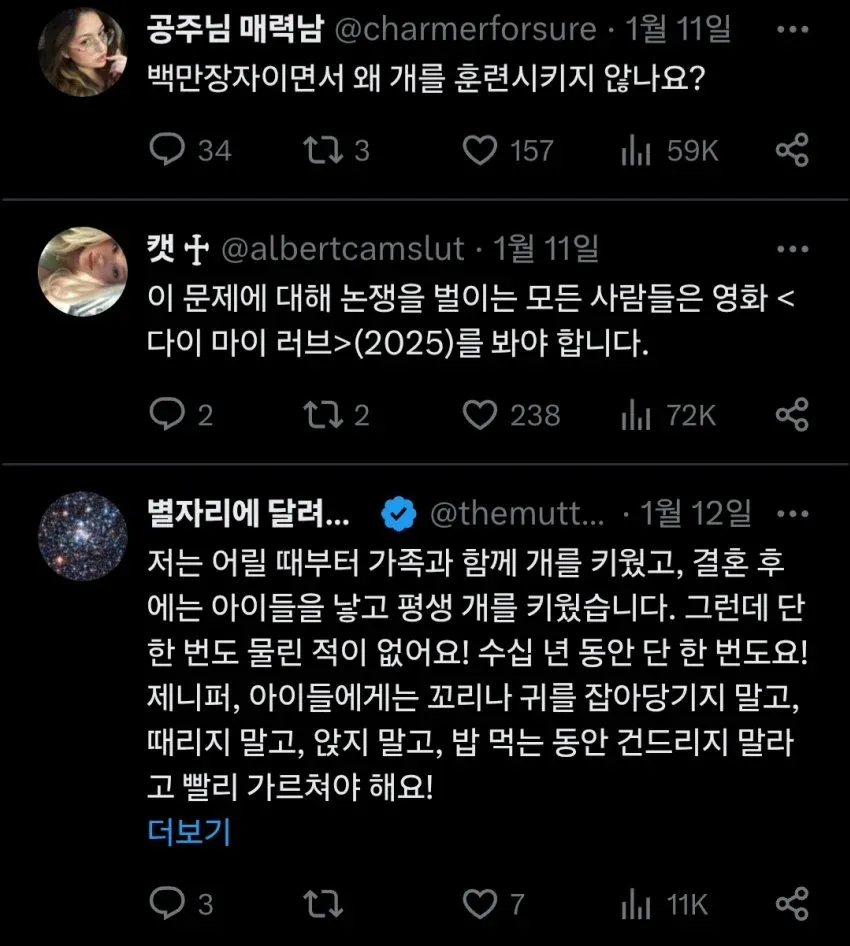 개 훈련과 아이 안전에 대한 SNS 논쟁 게시글 스크린샷