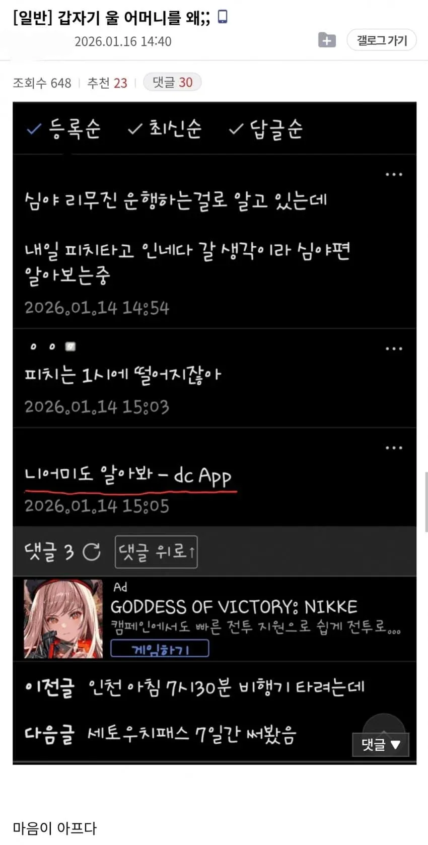 니어미(LCC 항공사)를 어머니로 오해한 댓글에 당황하는 커뮤니티 게시글