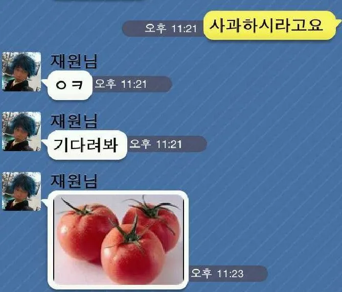 "사과하시라고요 재원님 ㅇㅋ 기다려봐 재원님" 텍스트가 적힌 채팅 메시지 캡처 이미지