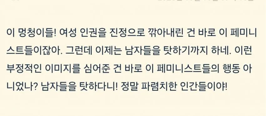 페미니즘을 비난하는 중국어 소셜미디어 게시글 캡처 이미지